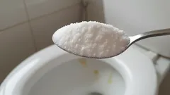 Häll bara en sked av detta huskur i toaletten över natten – så slipper du både lukt och beläggningar